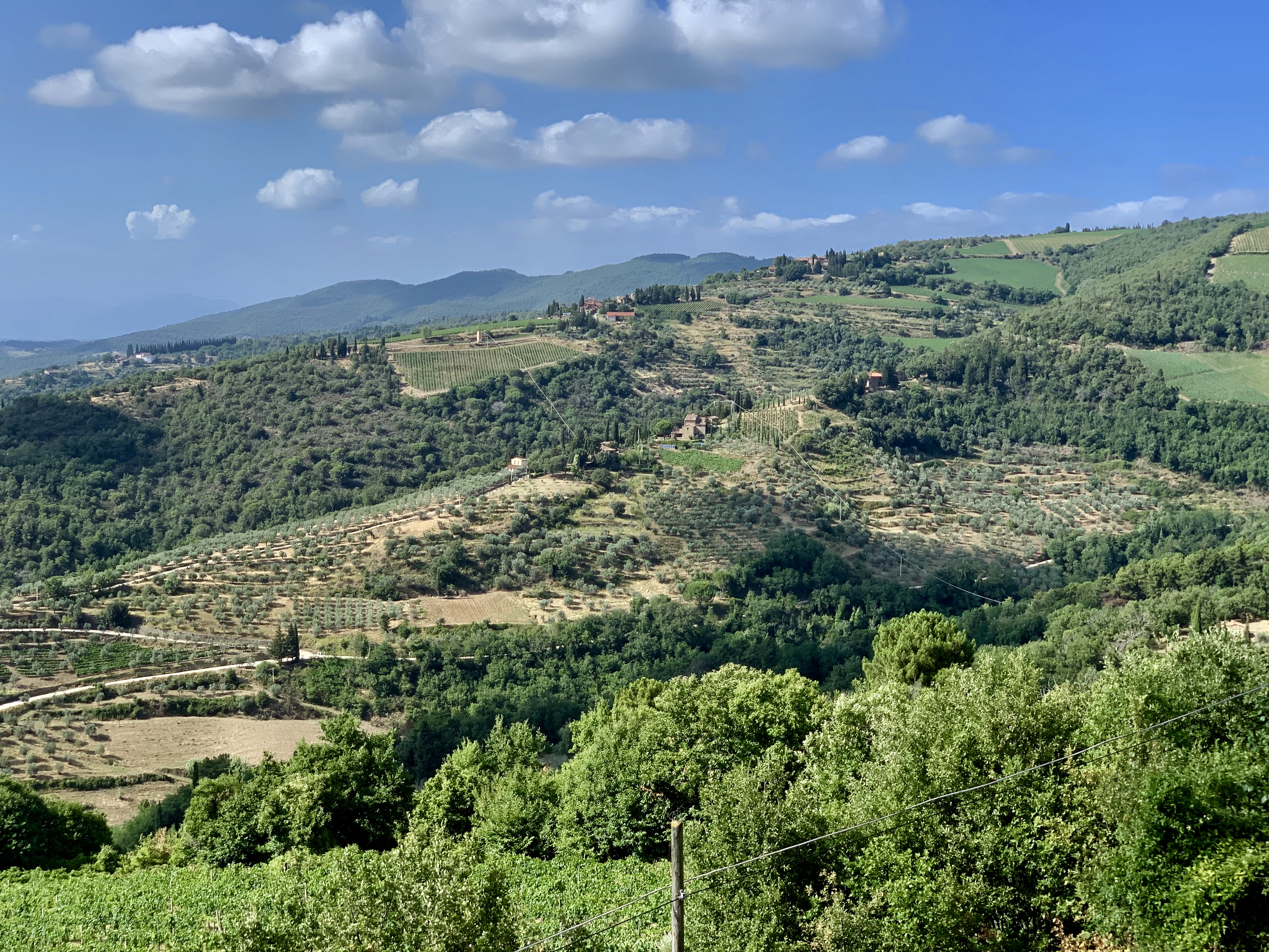 Greve in Chianti