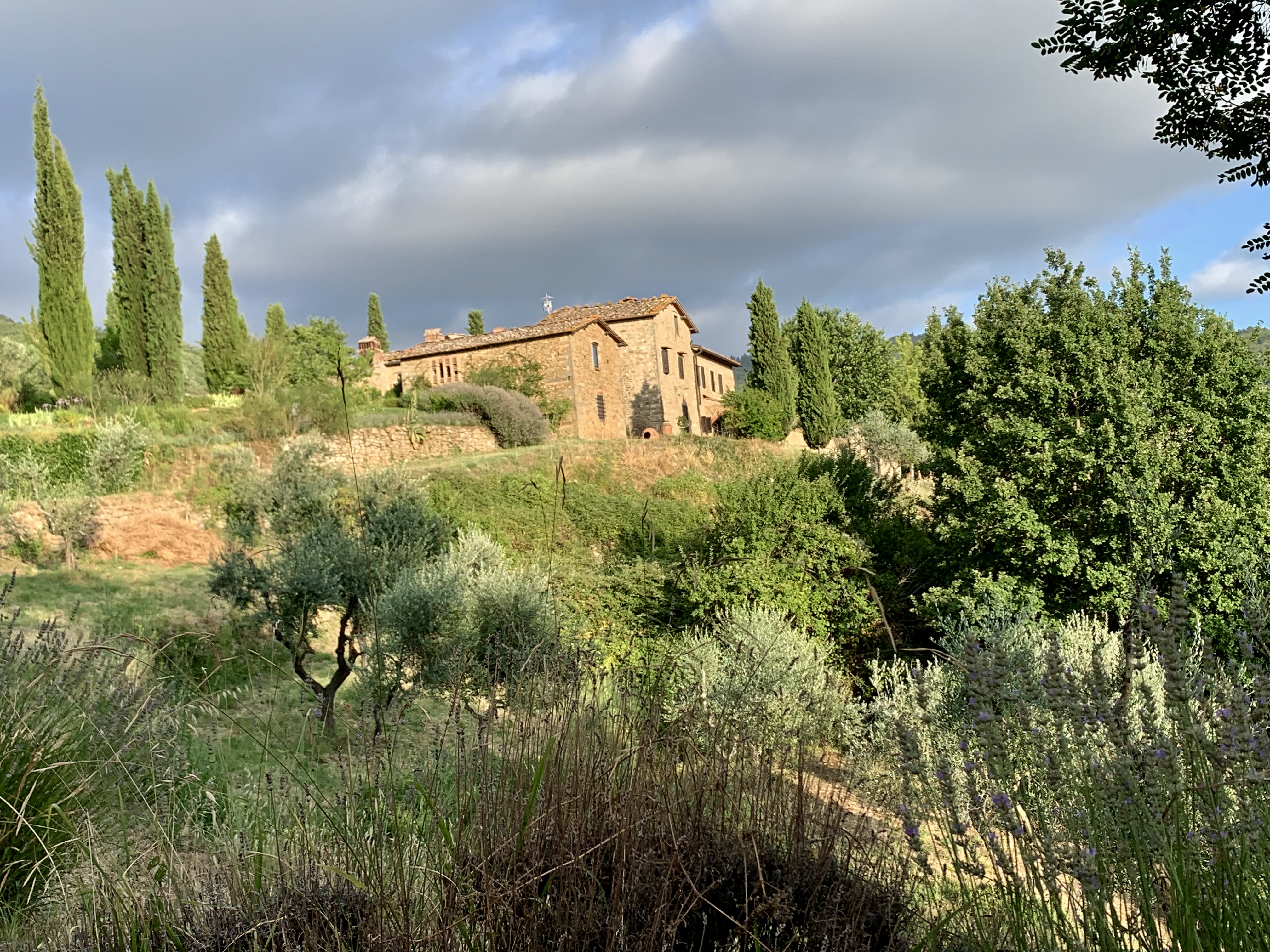 Greve in Chianti