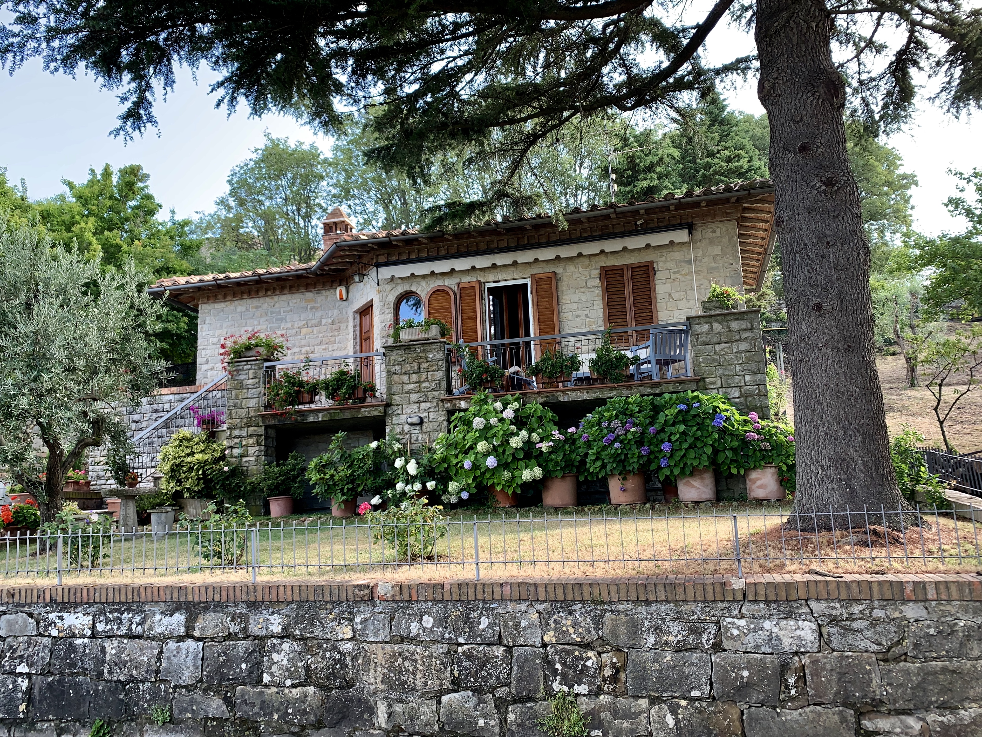Montalcino