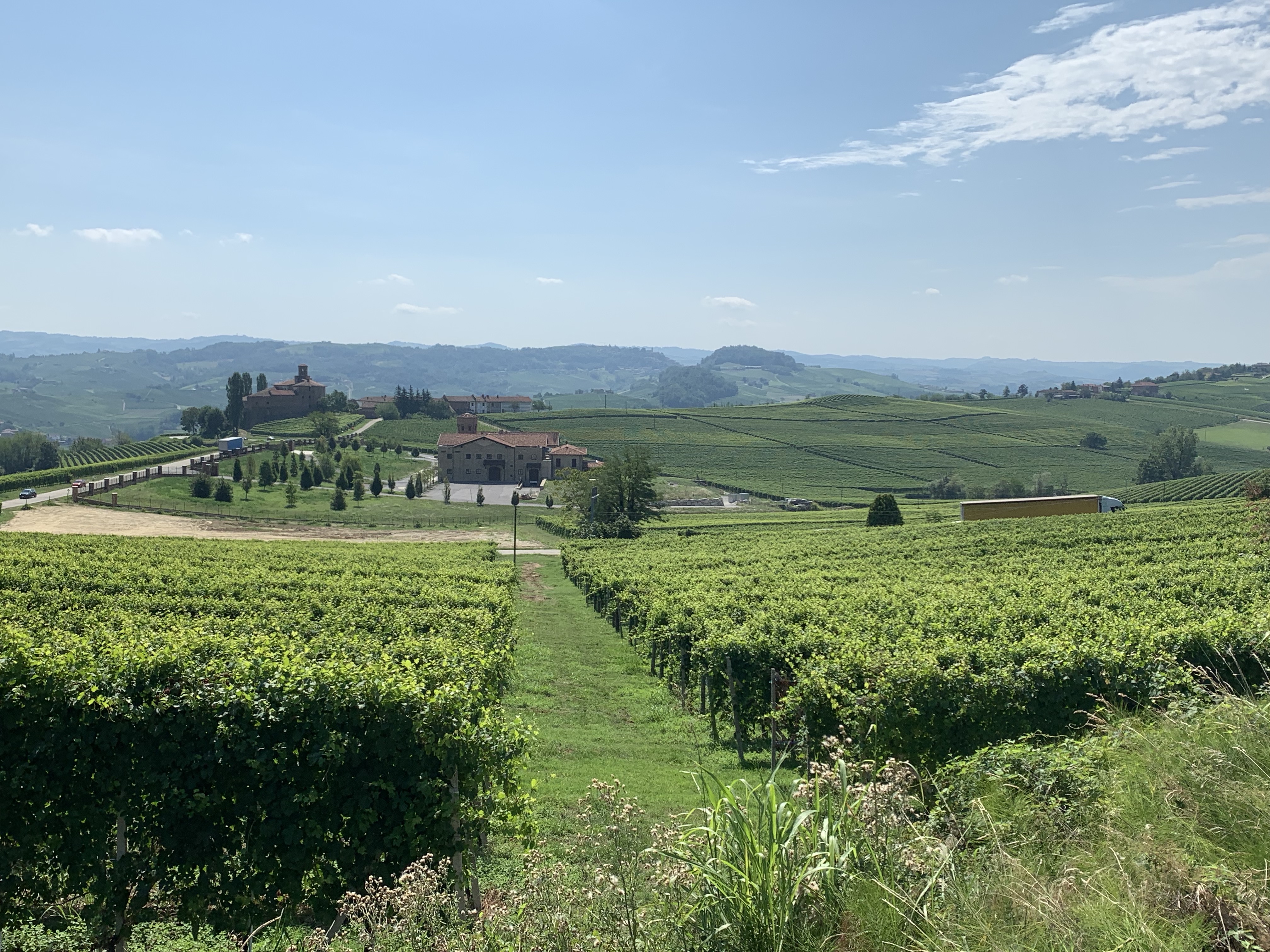 Barolo